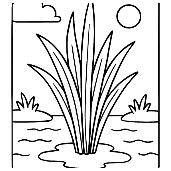 Prachtig Riet aan het Water